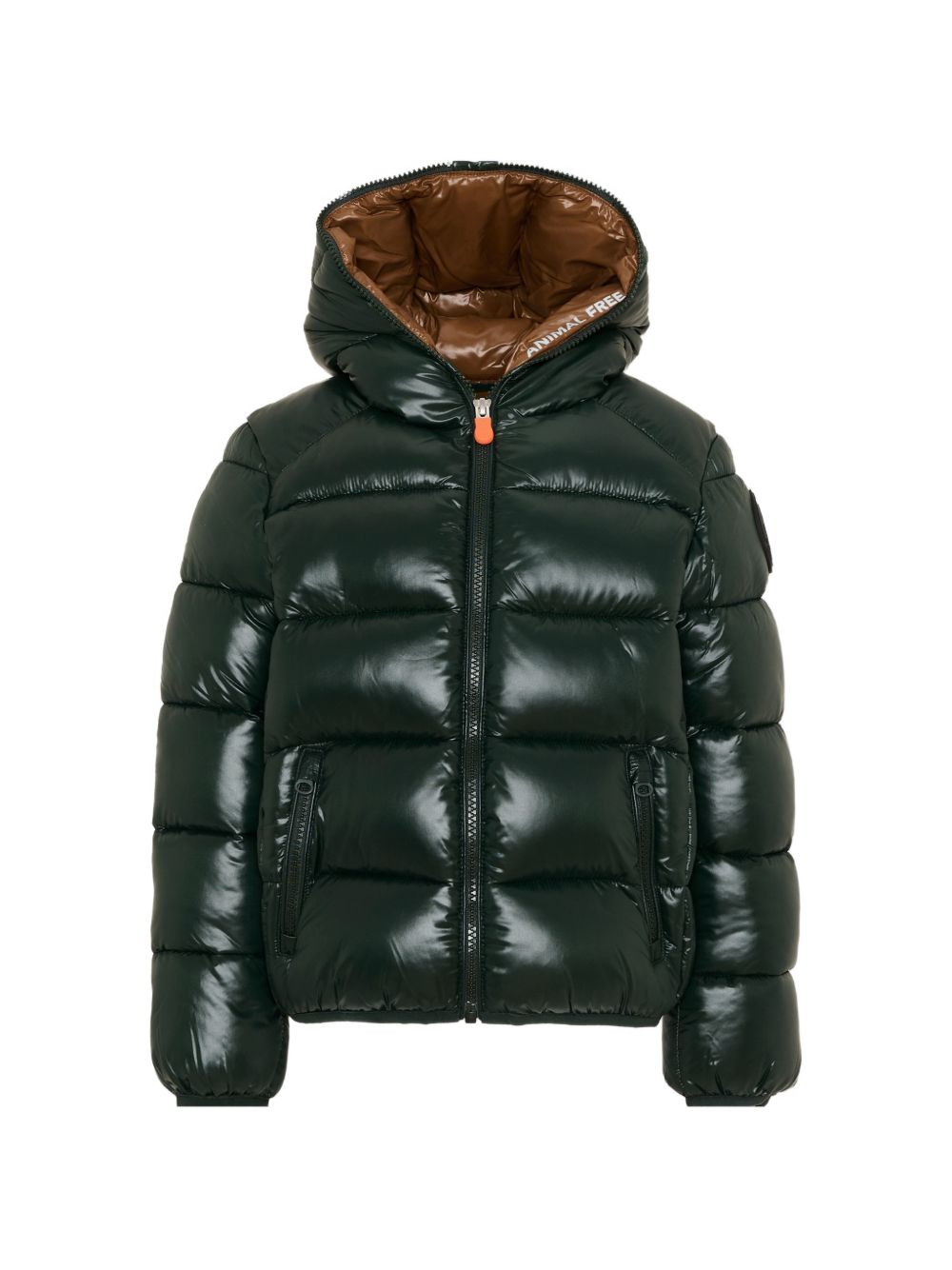 Giubbotto verde per bambino J31280BLOVE21 50083 Save The Duck Kids 