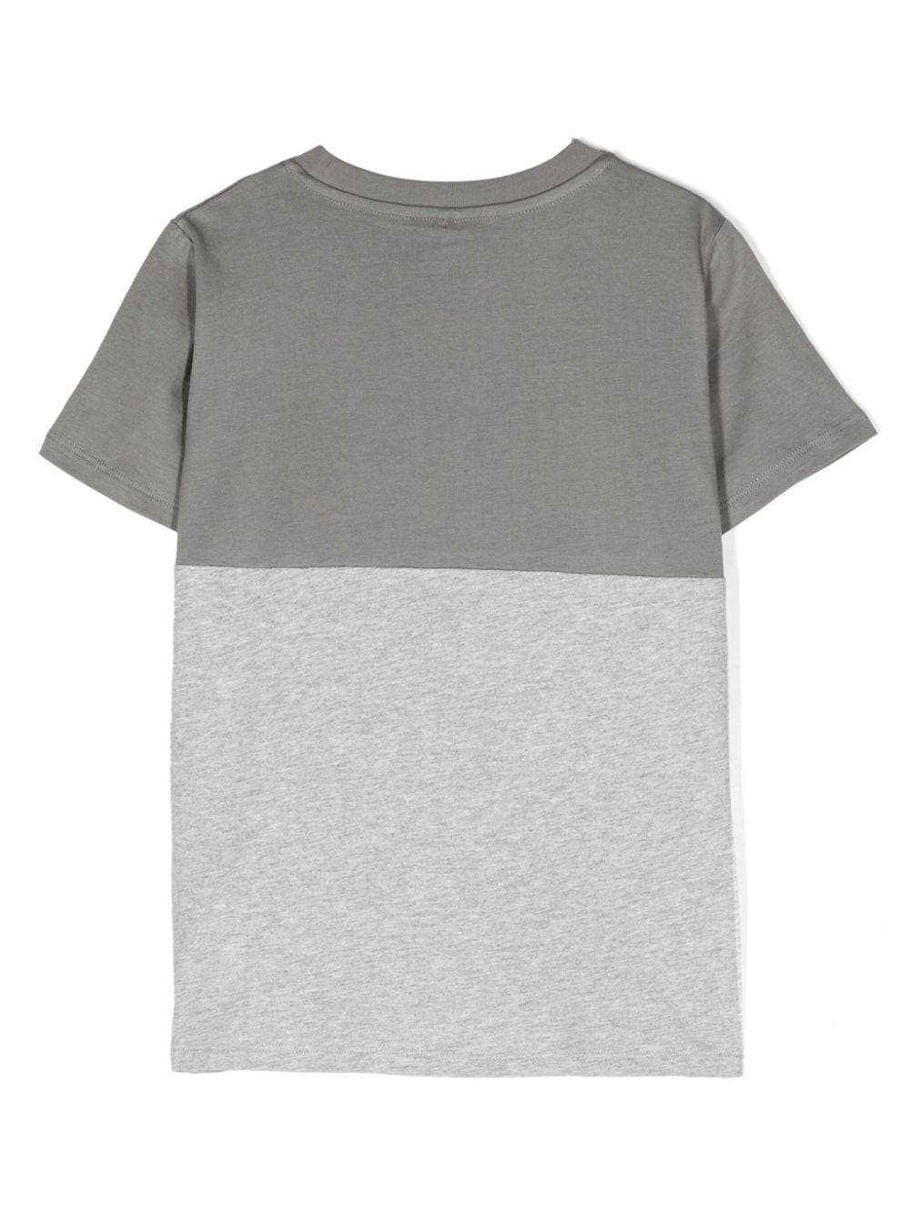 Gray t-shirt for boys with print