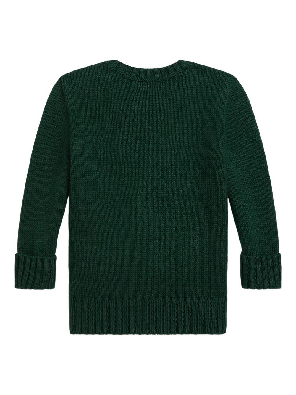 Maglione verde per neonato 320978393 001 Ralph Lauren Kids 